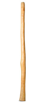 Natural Finish Flared Didgeridoo (TW1357)